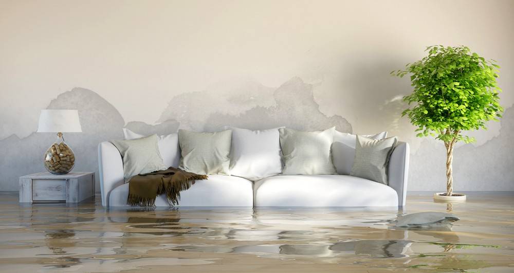 degats eaux assurance